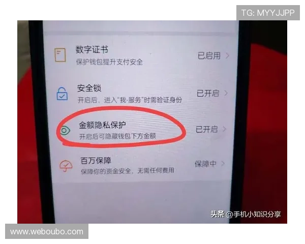 欧博app登录页面快速登录与账号安全保障措施