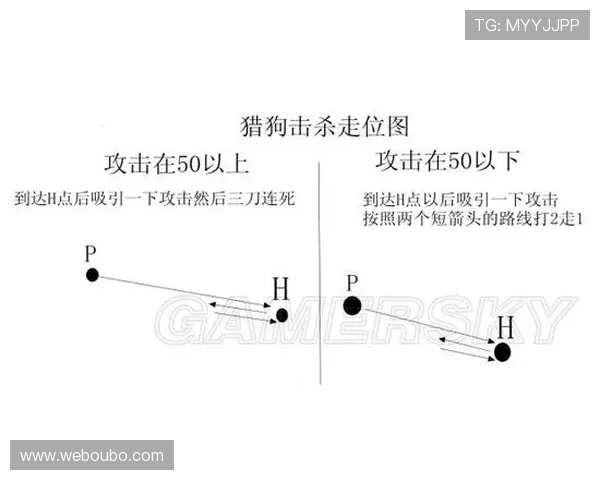 欧博会员登陆常见问题及解决方法详尽解析