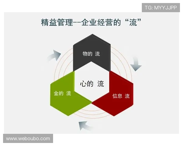 欧博官网代理：全面解析代理流程与合作优势