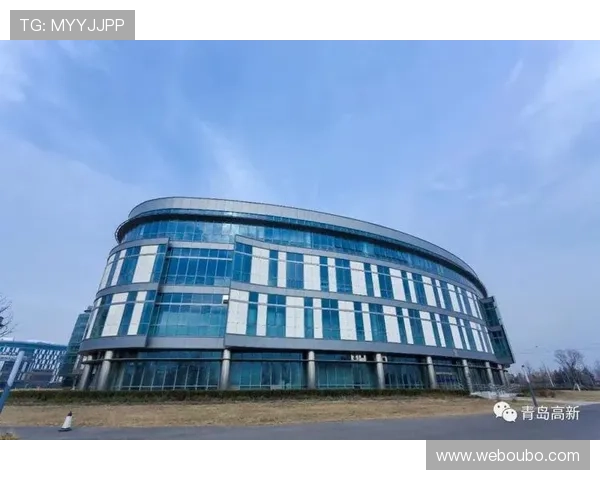 欧博正网合作常见问题及解决方案全面解析