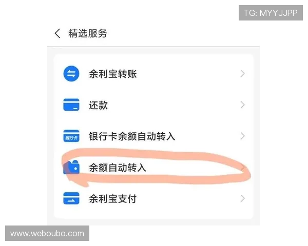 欧博游戏官网多样支付方式支持，方便快捷实现资金快速入账与提现