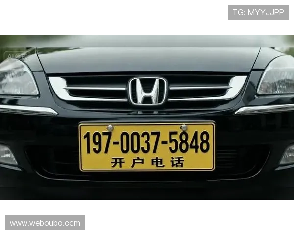 欧博abg中国官网登录入口官方入口地址安全可靠，保障玩家个人信息安全与游戏账号稳定登录