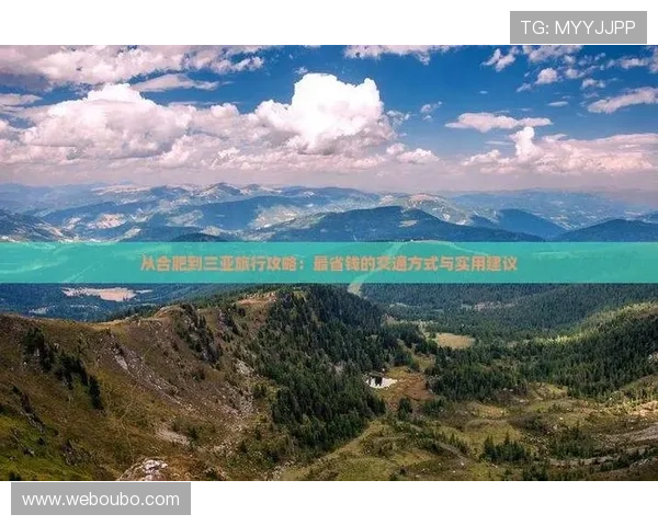 欧博官网代理平台的盈利模式分析及如何最大化收益的实用建议